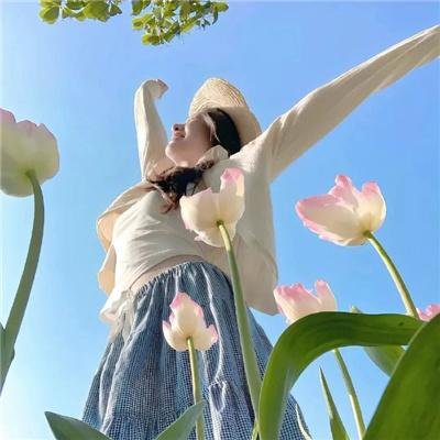 河狸变身计划 海报